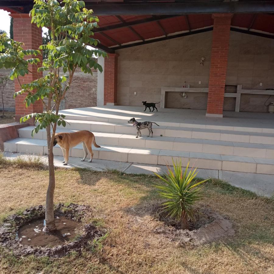 Quinta Los Arcos Vila Celaya  Exterior foto