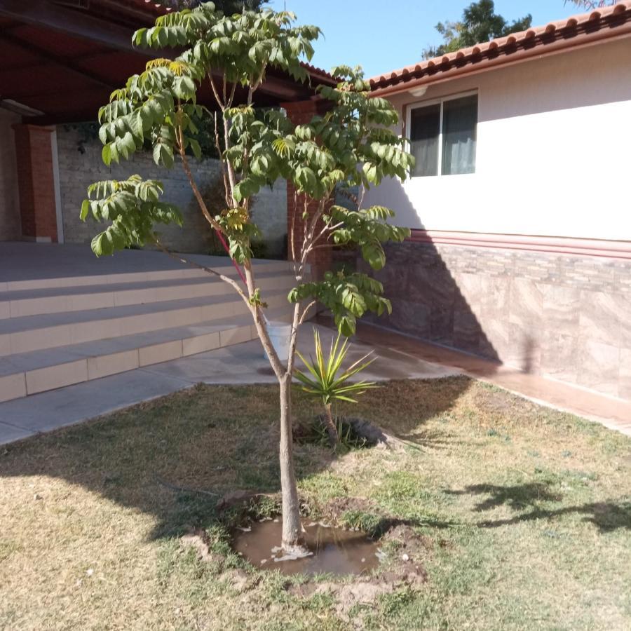 Quinta Los Arcos Vila Celaya  Exterior foto